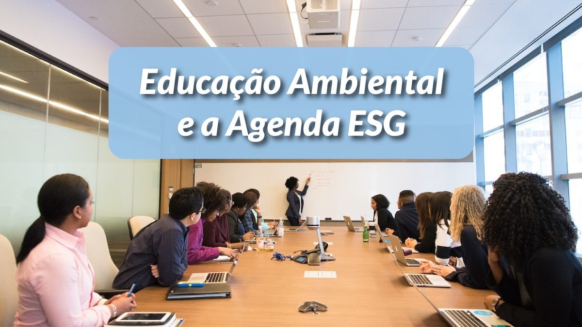 Pessoas em uma sala de treinamentos aprendendo sobre Educação Ambiental e Agenda ESG